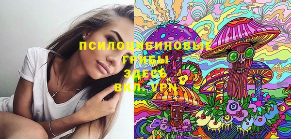 стафф Нея