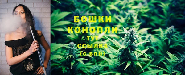 стафф Нея
