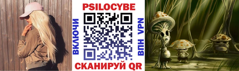 Псилоцибиновые грибы мицелий  Туринск 